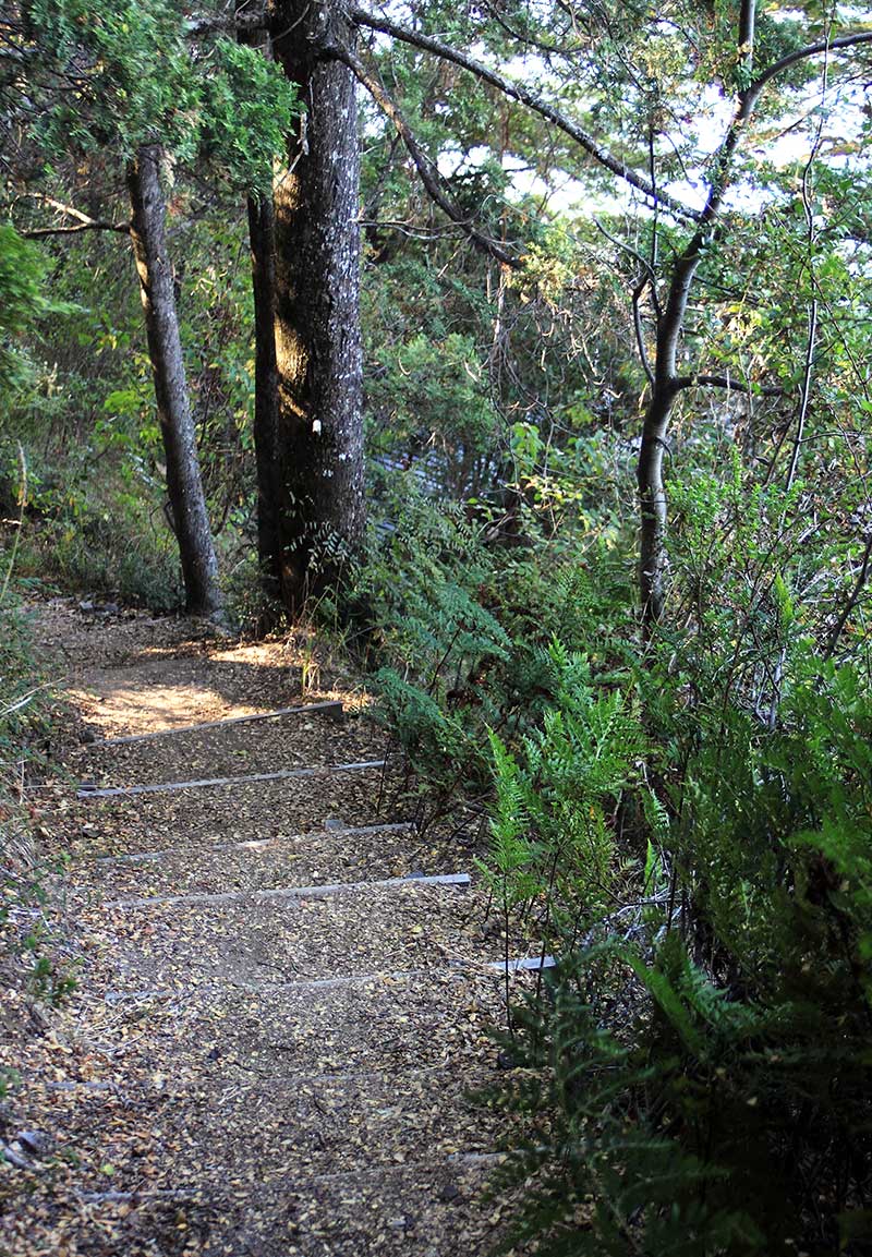 Entorno Casa Fischer 3