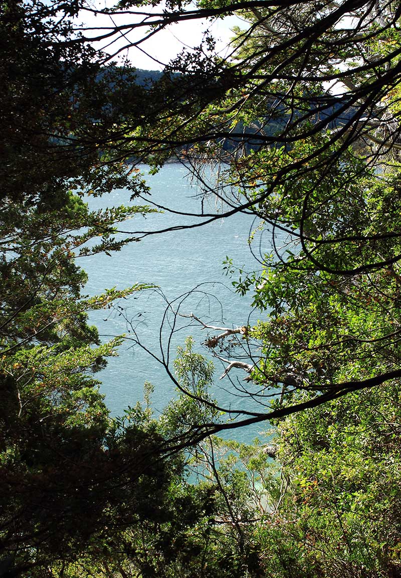 Entorno Casa Fischer 5